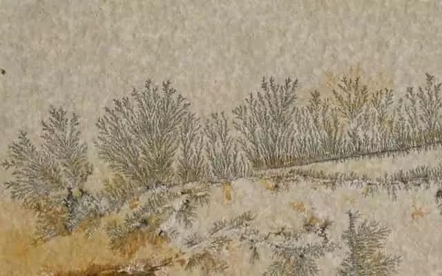 Solnhofeni mészkő burkolat - vízszintes és függőleges felületre Solnhofeni mészkő burkolat – kemény, különleges megjelenésű természetes kő fosszíliákkal